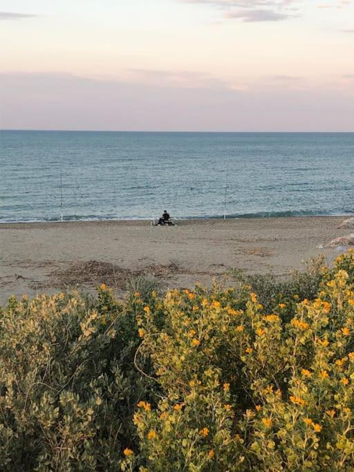 סן סיפריאן Logement Plage מראה חיצוני תמונה