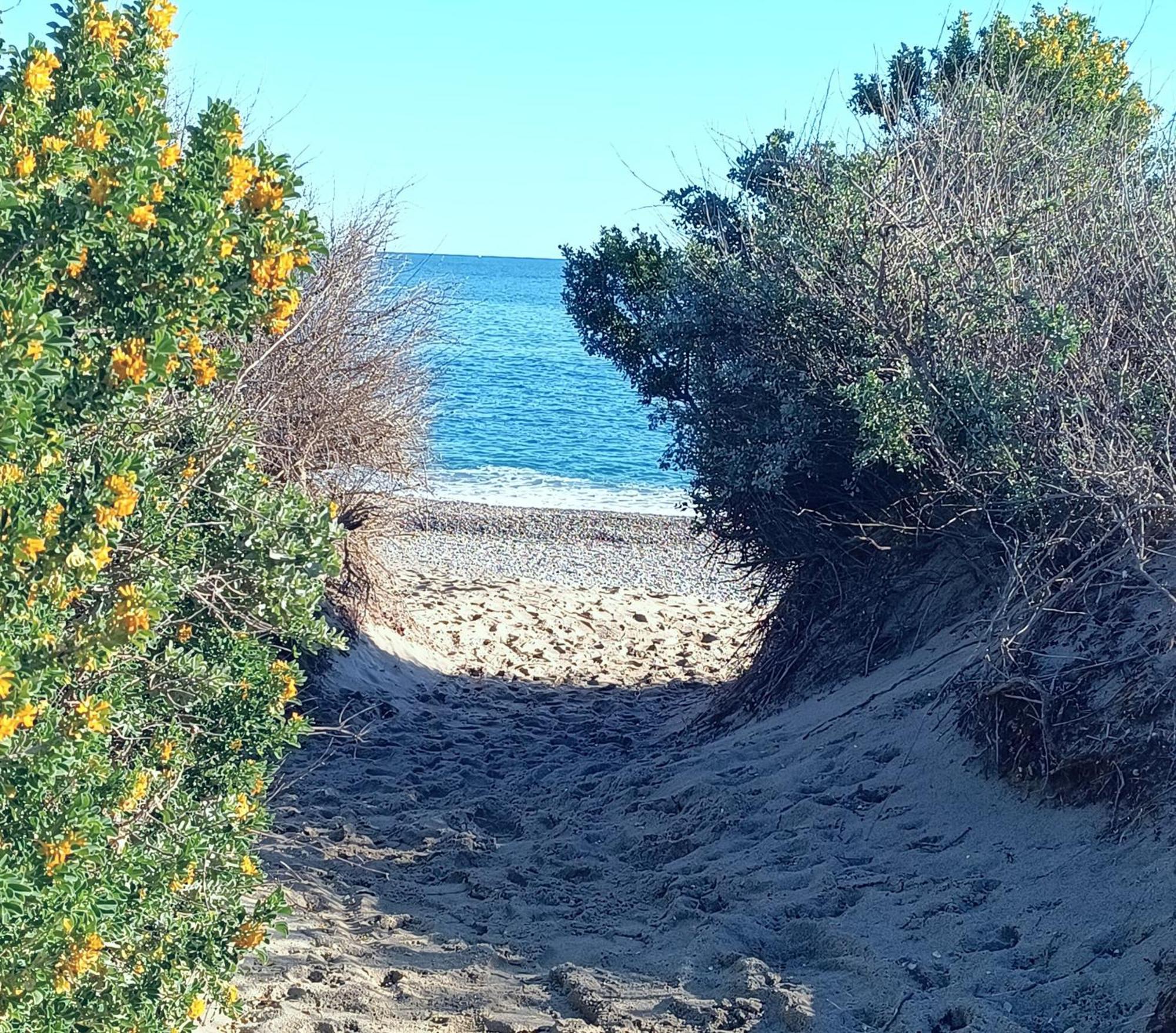 סן סיפריאן Logement Plage מראה חיצוני תמונה